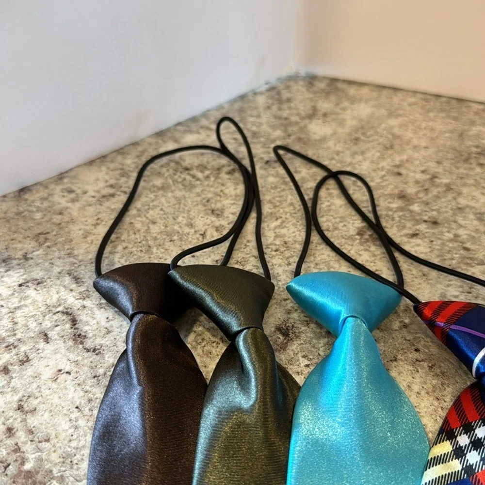 NWOT 10 inch unisex ties set of 4. Attached elastic cord goes under the collar.